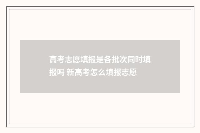 高考志愿填报是各批次同时填报吗 新高考怎么填报志愿
