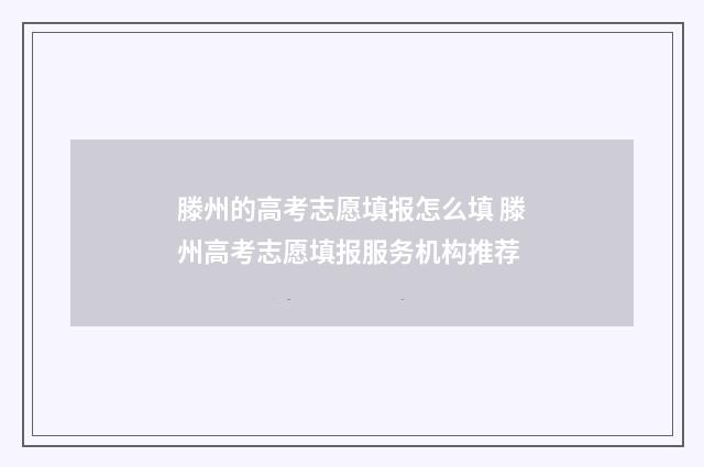 滕州的高考志愿填报怎么填 滕州高考志愿填报服务机构推荐