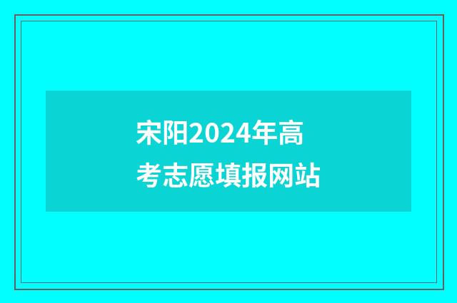 宋阳2024年高考志愿填报网站