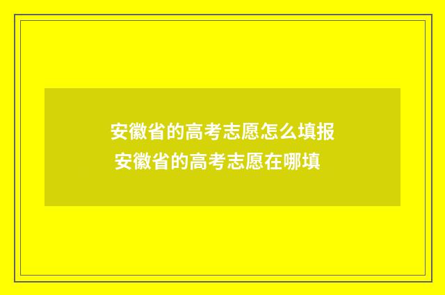 安徽省的高考志愿怎么填报 安徽省的高考志愿在哪填