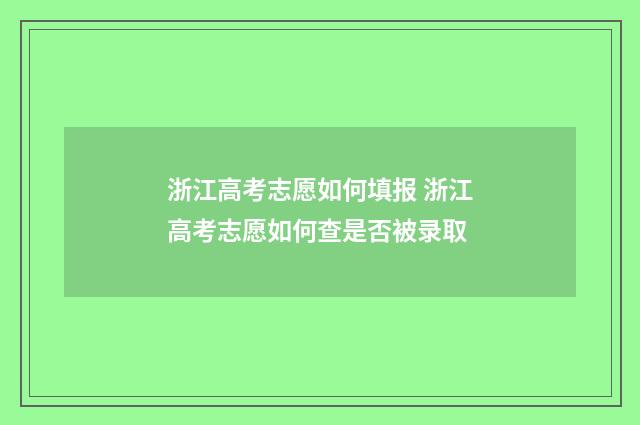 浙江高考志愿如何填报 浙江高考志愿如何查是否被录取