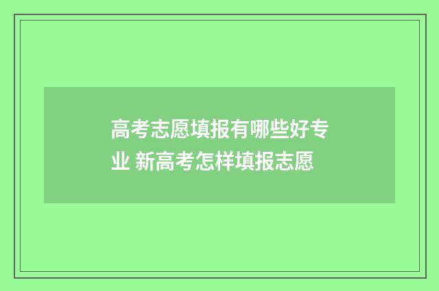 高考志愿填报有哪些好专业 新高考怎样填报志愿