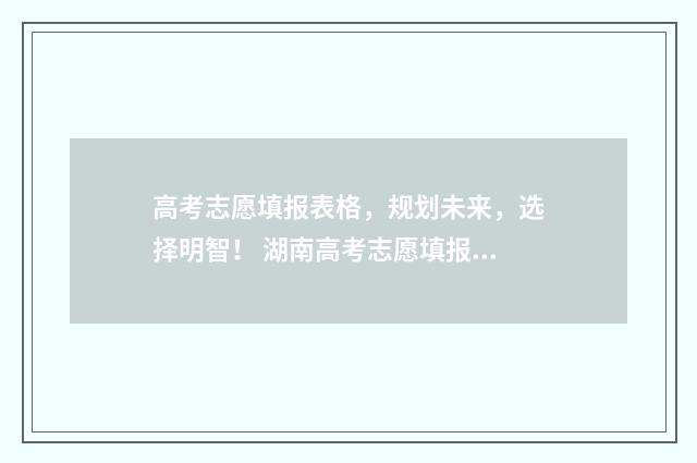 高考志愿填报表格，规划未来，选择明智！ 湖南高考志愿填报表