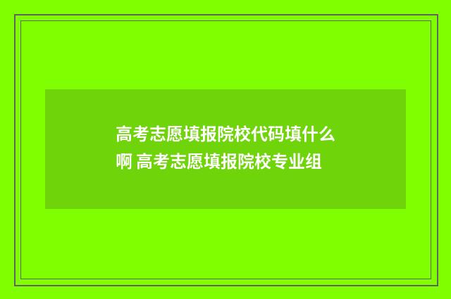 高考志愿填报院校代码填什么啊 高考志愿填报院校专业组
