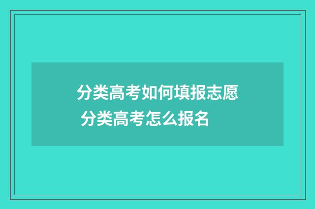 分类高考如何填报志愿 分类高考怎么报名