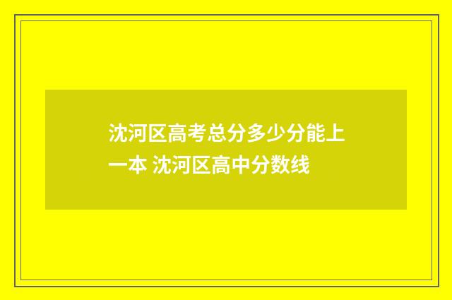 沈河区高考总分多少分能上一本 沈河区高中分数线