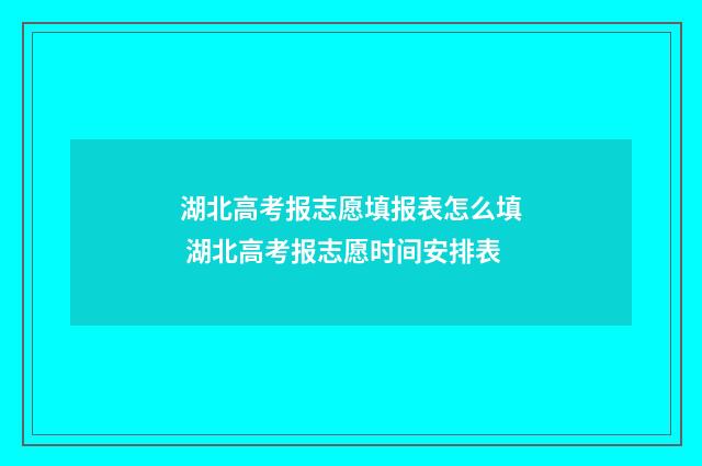 湖北高考报志愿填报表怎么填 湖北高考报志愿时间安排表