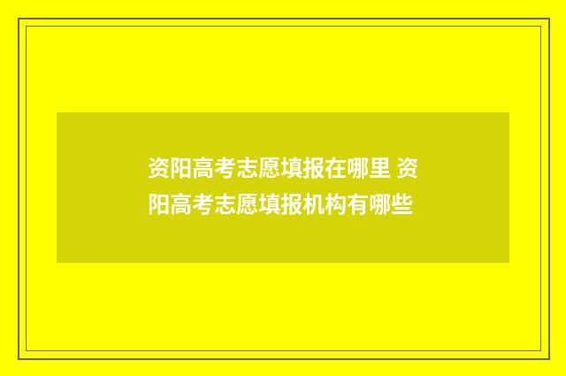 资阳高考志愿填报在哪里 资阳高考志愿填报机构有哪些
