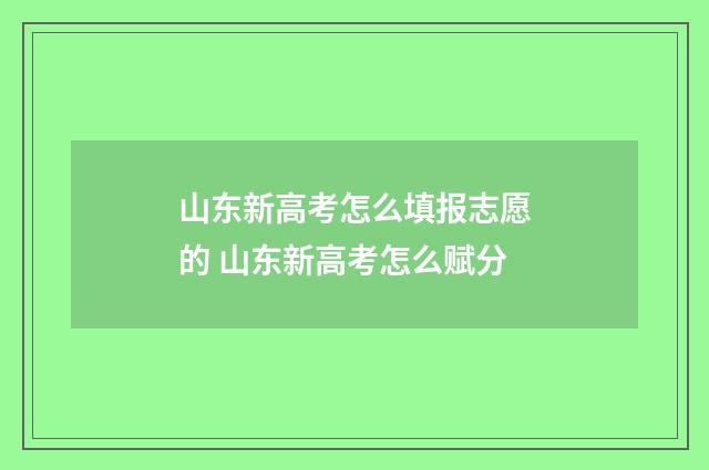 山东新高考怎么填报志愿的 山东新高考怎么赋分