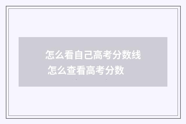 怎么看自己高考分数线 怎么查看高考分数
