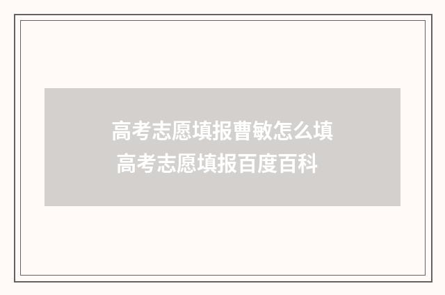 高考志愿填报曹敏怎么填 高考志愿填报百度百科