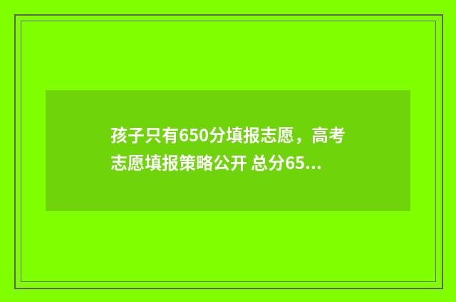 孩子只有650分填报志愿，高考志愿填报策略公开 总分650能上什么大学