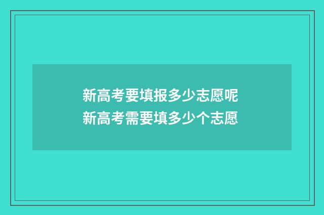 新高考要填报多少志愿呢 新高考需要填多少个志愿