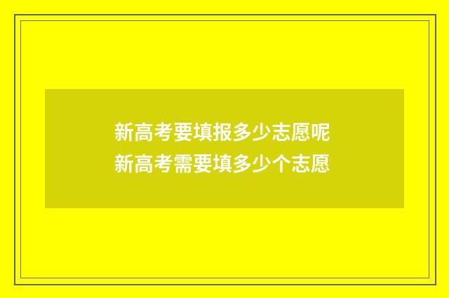 新高考要填报多少志愿呢 新高考需要填多少个志愿