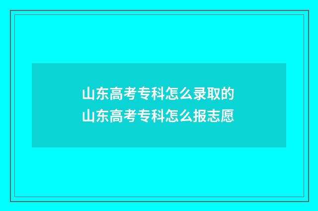 山东高考专科怎么录取的 山东高考专科怎么报志愿