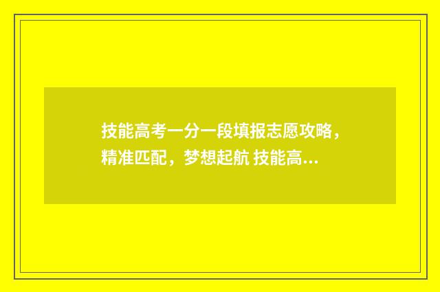 技能高考一分一段填报志愿攻略，精准匹配，梦想起航 技能高考一分一段表2024计算机