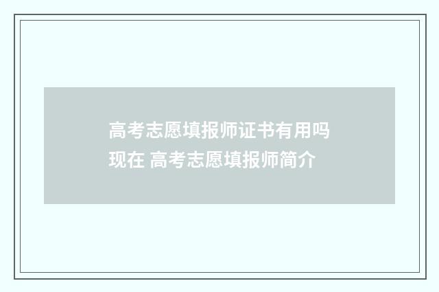 高考志愿填报师证书有用吗现在 高考志愿填报师简介