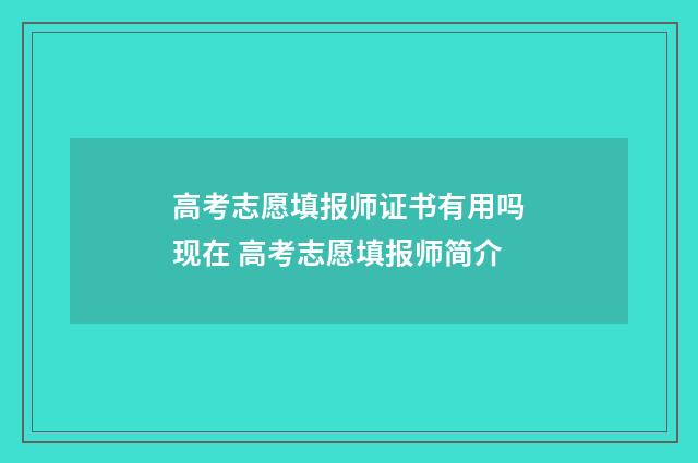 高考志愿填报师证书有用吗现在 高考志愿填报师简介