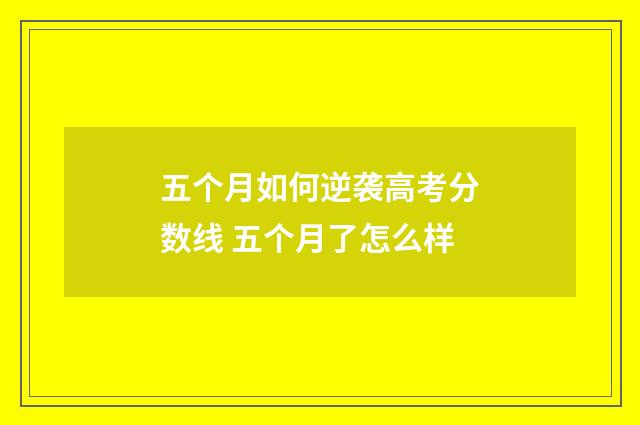 五个月如何逆袭高考分数线 五个月了怎么样