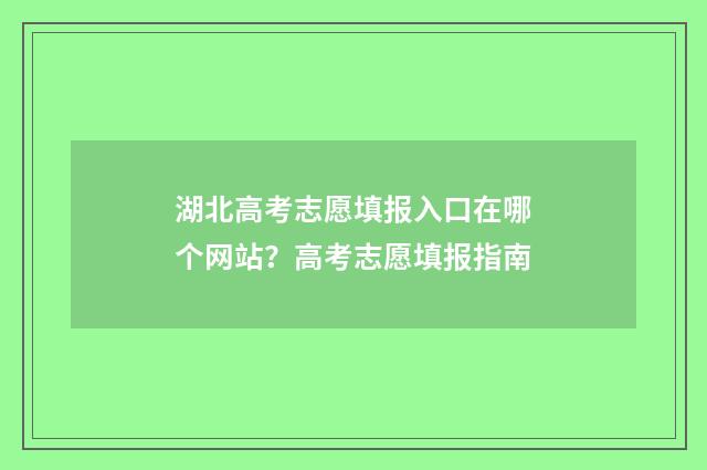 湖北高考志愿填报入口在哪个网站？高考志愿填报指南