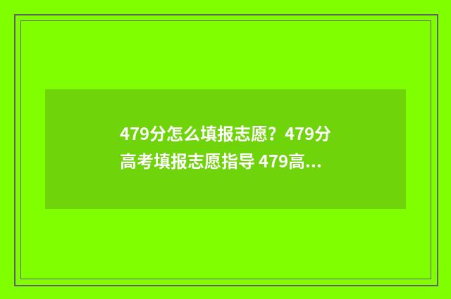 479分怎么填报志愿？479分高考填报志愿指导 479高考志愿
