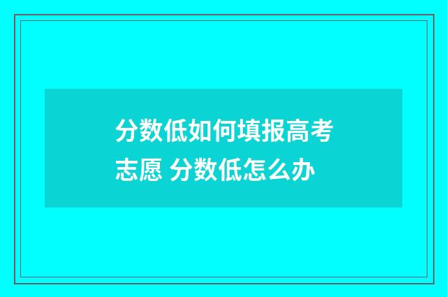 分数低如何填报高考志愿 分数低怎么办