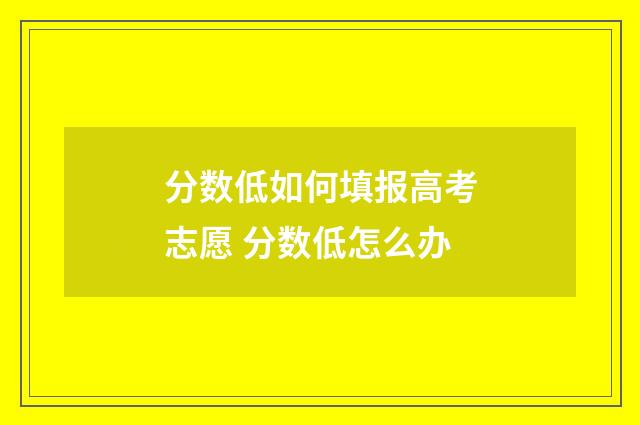 分数低如何填报高考志愿 分数低怎么办