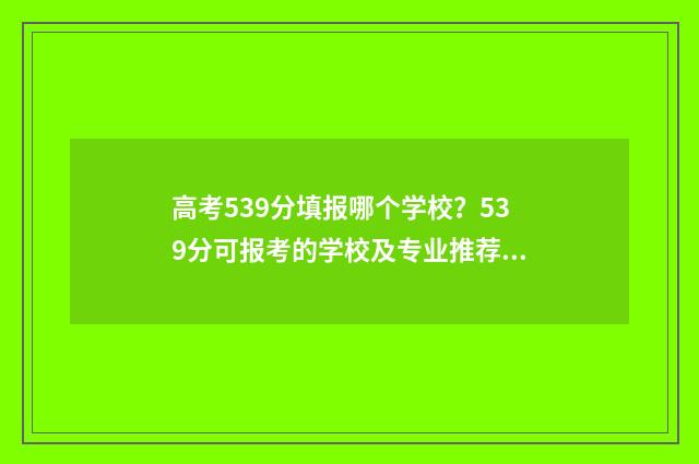 高考539分填报哪个学校？539分可报考的学校及专业推荐 高考539分填报哪些专业
