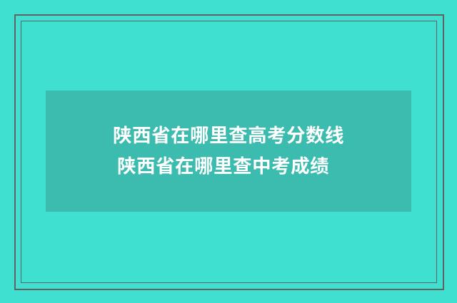 陕西省在哪里查高考分数线 陕西省在哪里查中考成绩