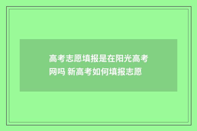 高考志愿填报是在阳光高考网吗 新高考如何填报志愿