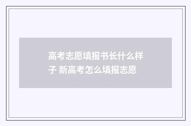 高考志愿填报书长什么样子 新高考怎么填报志愿