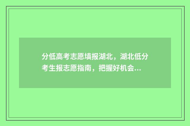 分低高考志愿填报湖北，湖北低分考生报志愿指南，把握好机会！