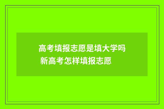 高考填报志愿是填大学吗 新高考怎样填报志愿