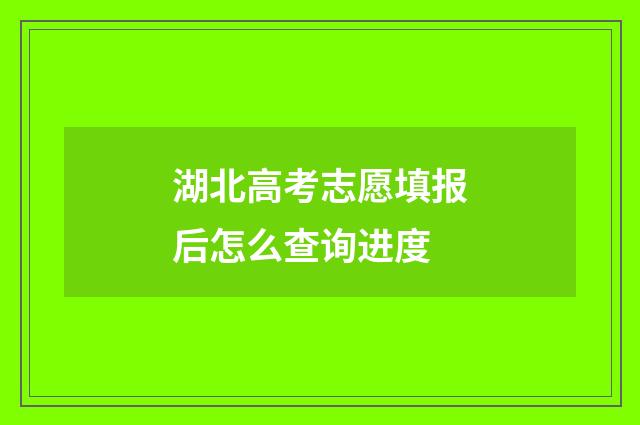 湖北高考志愿填报后怎么查询进度