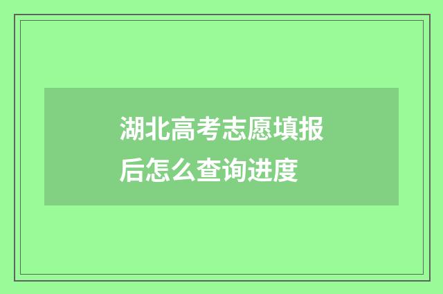 湖北高考志愿填报后怎么查询进度