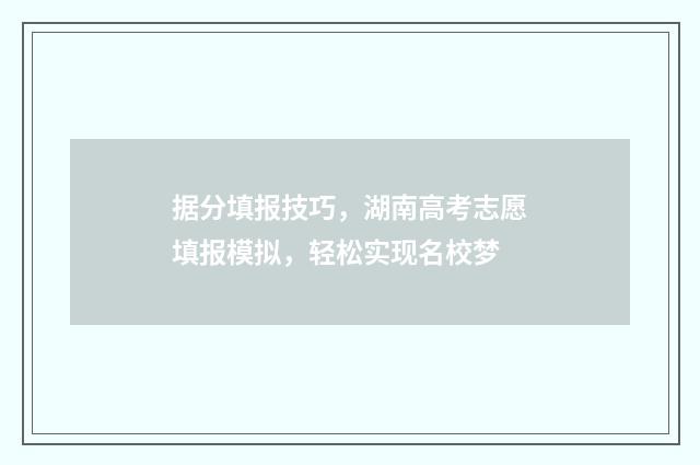 据分填报技巧，湖南高考志愿填报模拟，轻松实现名校梦