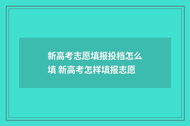 新高考志愿填报投档怎么填 新高考怎样填报志愿