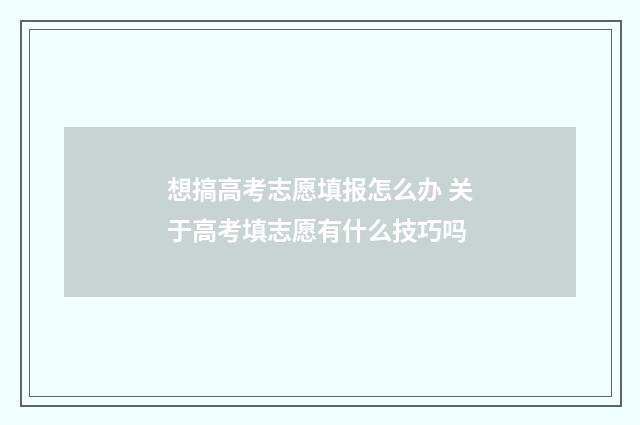 想搞高考志愿填报怎么办 关于高考填志愿有什么技巧吗