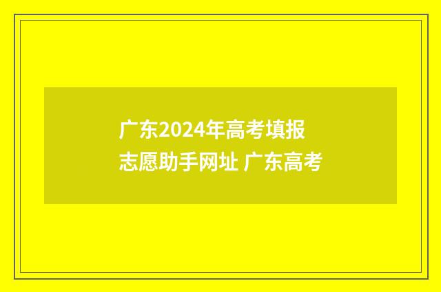广东2024年高考填报志愿助手网址 广东高考