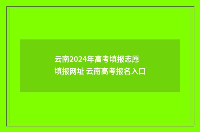 云南2024年高考填报志愿填报网址 云南高考报名入口