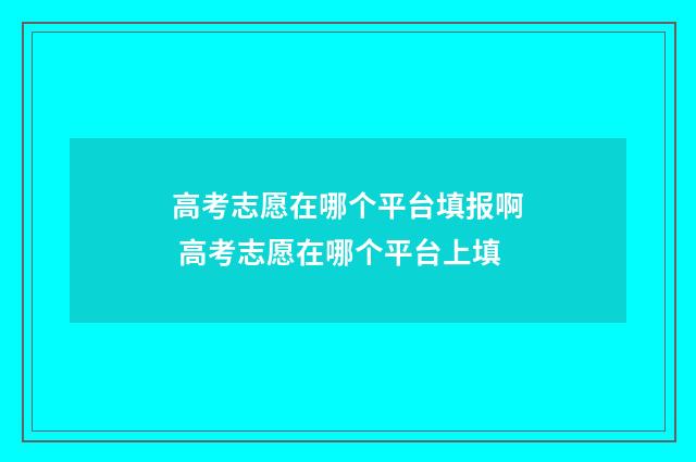 高考志愿在哪个平台填报啊 高考志愿在哪个平台上填