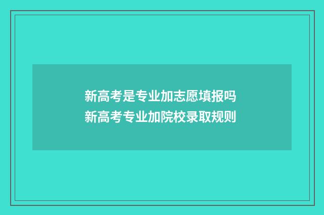 新高考是专业加志愿填报吗 新高考专业加院校录取规则