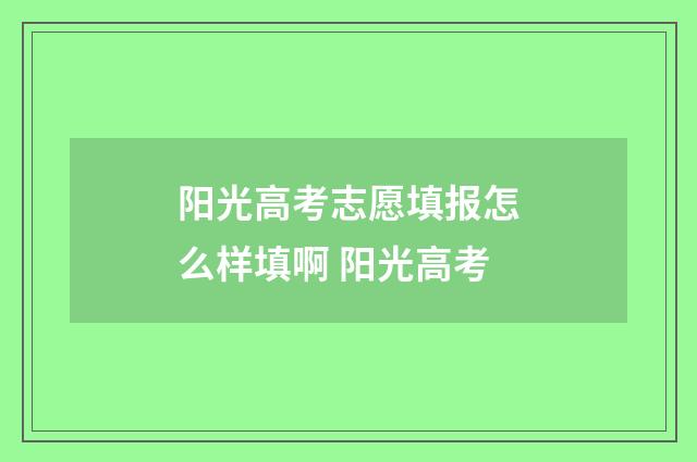 阳光高考志愿填报怎么样填啊 阳光高考