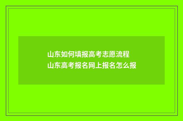 山东如何填报高考志愿流程 山东高考报名网上报名怎么报