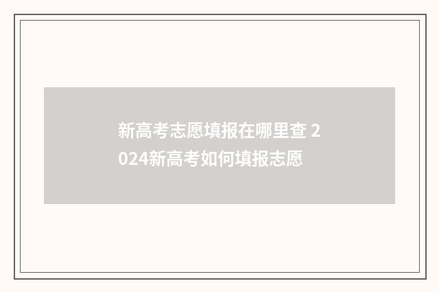 新高考志愿填报在哪里查 2024新高考如何填报志愿