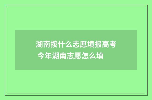 湖南按什么志愿填报高考 今年湖南志愿怎么填