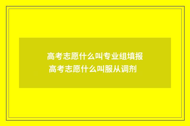 高考志愿什么叫专业组填报 高考志愿什么叫服从调剂