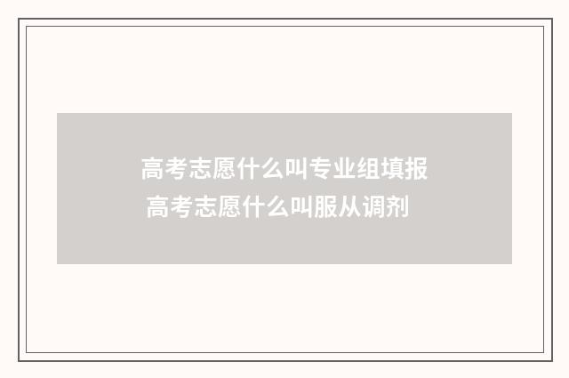 高考志愿什么叫专业组填报 高考志愿什么叫服从调剂