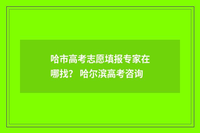 哈市高考志愿填报专家在哪找？ 哈尔滨高考咨询