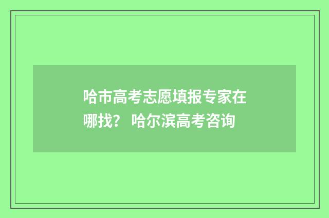 哈市高考志愿填报专家在哪找？ 哈尔滨高考咨询